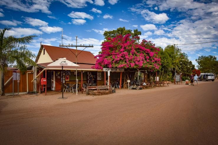 A small pub on a sandy outback landscape, surrounded by trees with the entrance visible beneath a large tree covered in pink flowers at the Daly Waters Pub, Daly Waters, Northern Territory © Tourism NT
