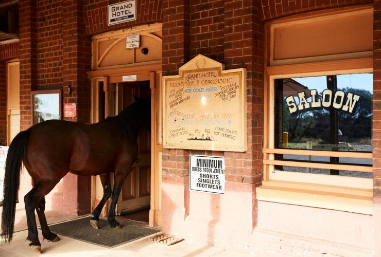 A large horse walking through the door of a brick venue with a window reading “saloon” at the Grand Hotel Kookynie, Kookynie, Western Australia © Tourism Western Australia