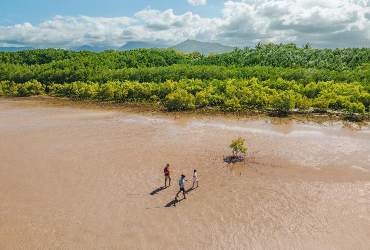 Aerial view over three people walking along mudflats with spears and lush greenery in the distance with Walkabout Cultural Adventures, Port Douglas, Tropical North Queensland © Tourism Australia 