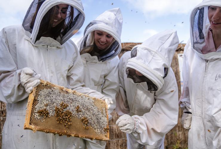 A group of people holding honeycomb while wearing beekeeping suits at The House of Honey, Swan Valley, Western Australia © Tourism Australia
