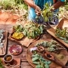 Native ingredients on a table at Ayers Rock Resort © Voyages