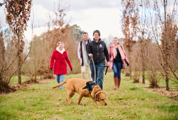 Pialligo Truffles, Canberra, ACT © VisitCanberra