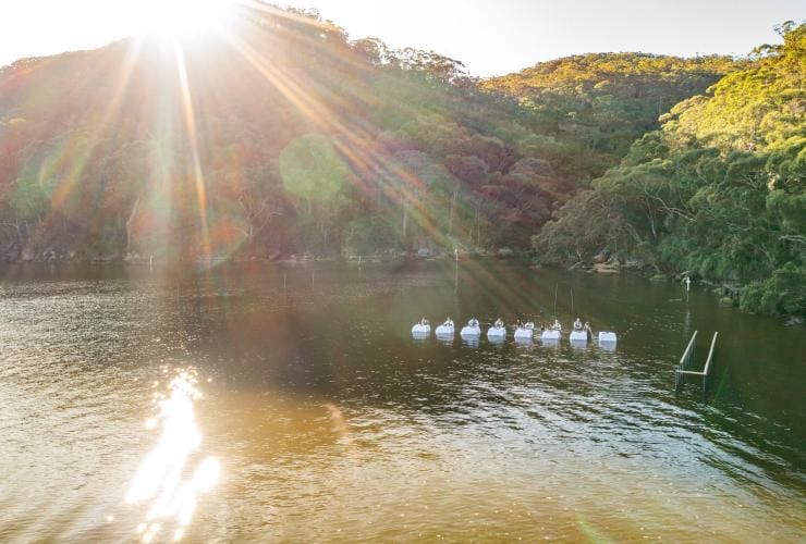 Sydney Oyster Farm Tours, Mooney Mooney, NSW © Tourism Australia