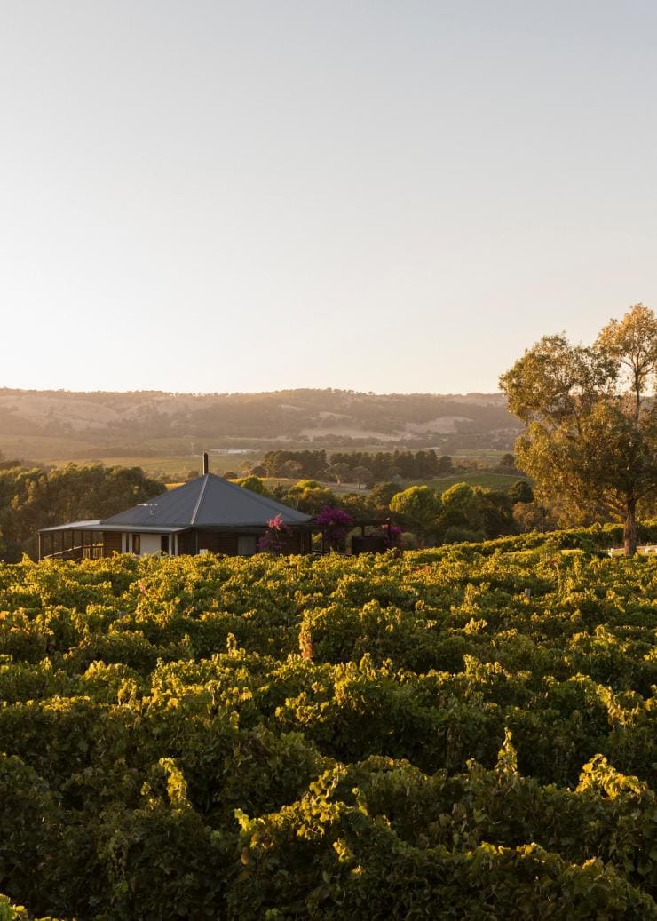 The Vineyard Retreat, McLaren Vale, SA © The Vineyard Retreat McLaren Vale