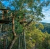 Wollemi Forest, Blue Mountains, NSW © Wollemi Cabins