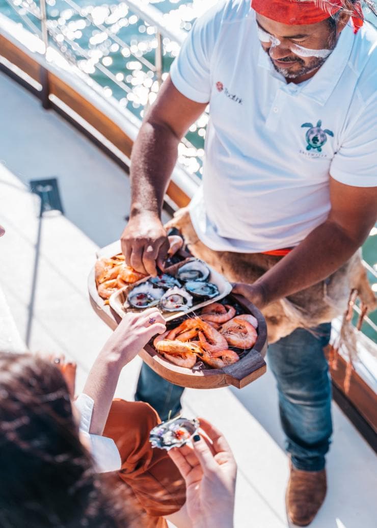 Saltwater Eco Tours, Mooloolaba, QLD © Tourism and Events Queensland