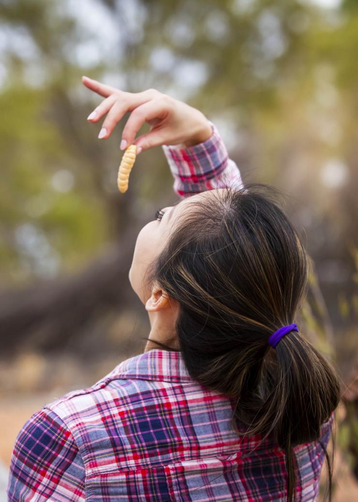 Karrke Aboriginal Cultural Tour, Watarrka, NT © Tourism Australia