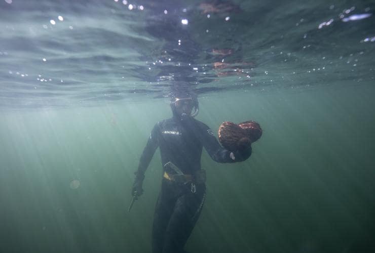 Seafood Seduction, Bruny Island, TAS © Tourism Australia