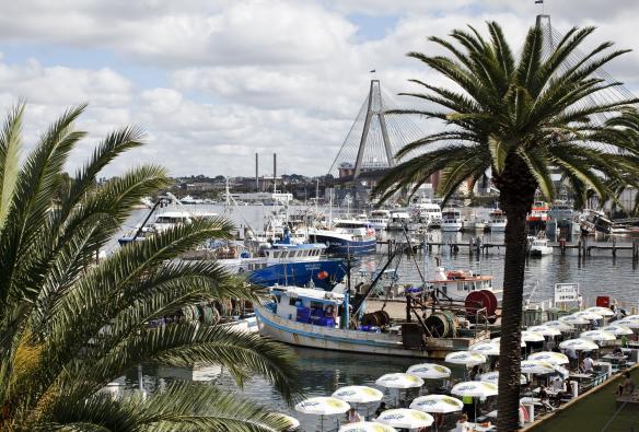 Dãy ô trên cầu tàu bên cạnh bến cảng đậu đầy thuyền, Chợ cá Sydney, Thành phố Sydney, Tiểu bang New South Wales © Destination NSW
