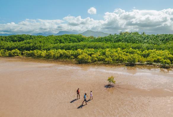 Hình ảnh nhìn từ trên cao của nhóm ba người đang khám phá bãi bùn, Walkabout Cultural Adventures, Rừng mưa nhiệt đới Daintree, Tiểu bang Queensland © Tourism and Events Queensland