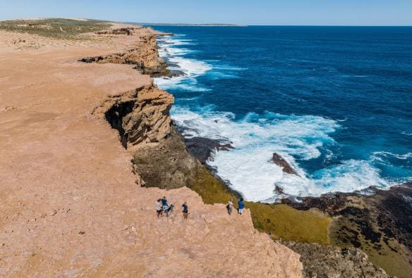 Hình ảnh nhìn từ trên cao một nhóm người đang tham quan đường bờ biển đá, Dirk Hartog Island Life Adventures, Đảo Dirk Hartog, Tiểu bang Tây Úc © Tourism Australia