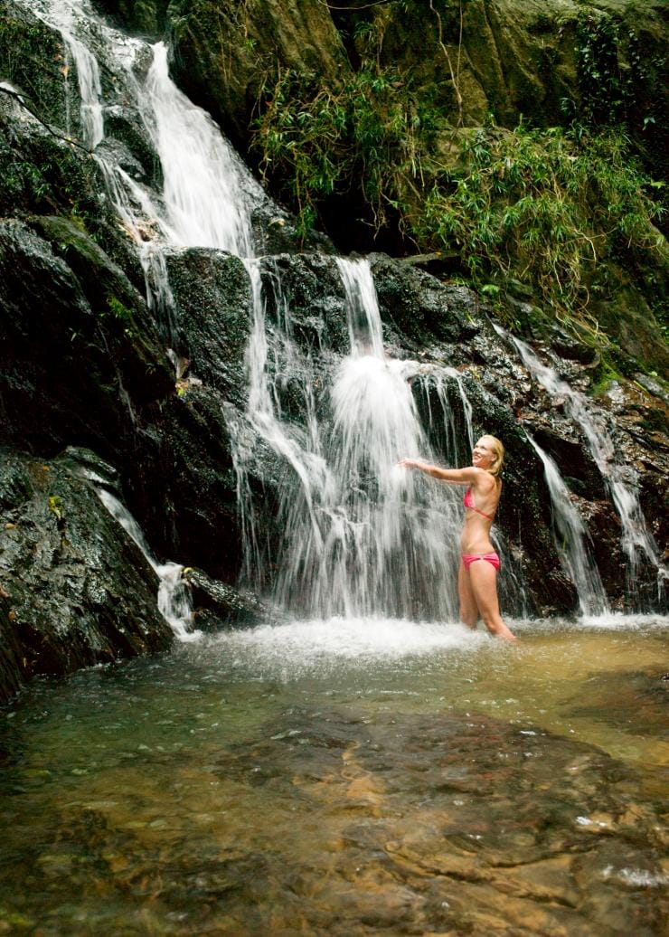 Daintree Eco Lodge and Spa, Daintree Rainforest, Queensland © Tourism Australia