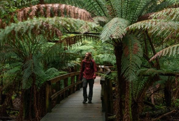 Suối nước nóng và Hang động Hastings, Thung lũng Huon, Tiểu bang Tasmania © Jess Bonde