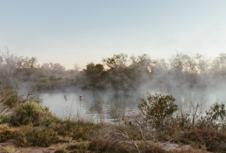 Dalhousie Springs, Flinders Ranges & Outback, SA © Renae Schulz