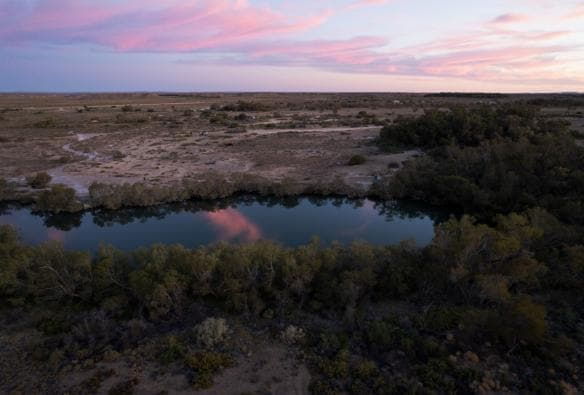 Suối nước nóng Dalhousie, Dãy núi Flinders & Vùng hẻo lánh, Tiểu bang Nam Úc © South Australian Tourism Commission