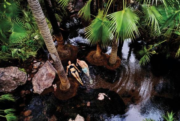Suối nước nóng Zebedee Springs, Công viên hoang dã El Questro, Tiểu bang Tây Úc © Tourism Western Australia