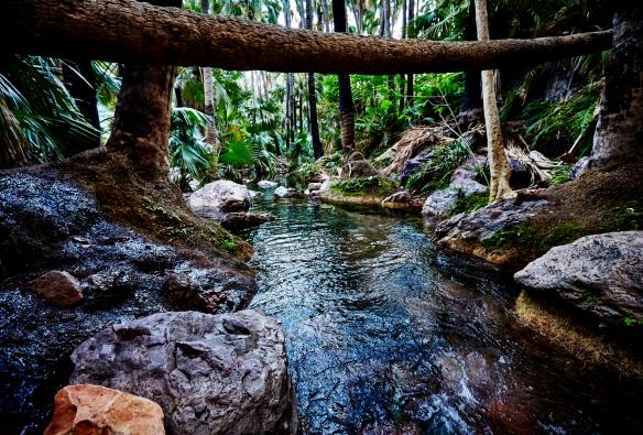 Suối nước nóng Zebedee Springs, Công viên hoang dã El Questro, Tiểu bang Tây Úc © Tourism Western Australia