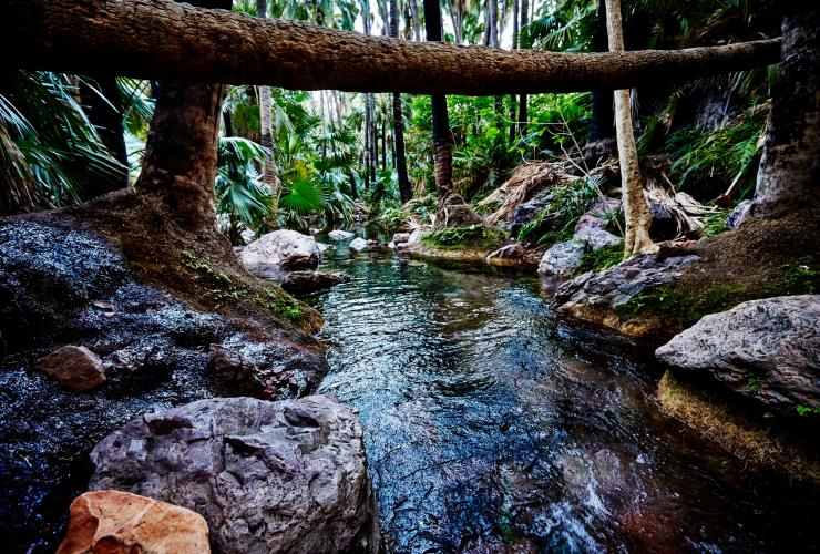 Zebedee Springs, El Questro Wilderness Park, WA © Tourism Western Australia