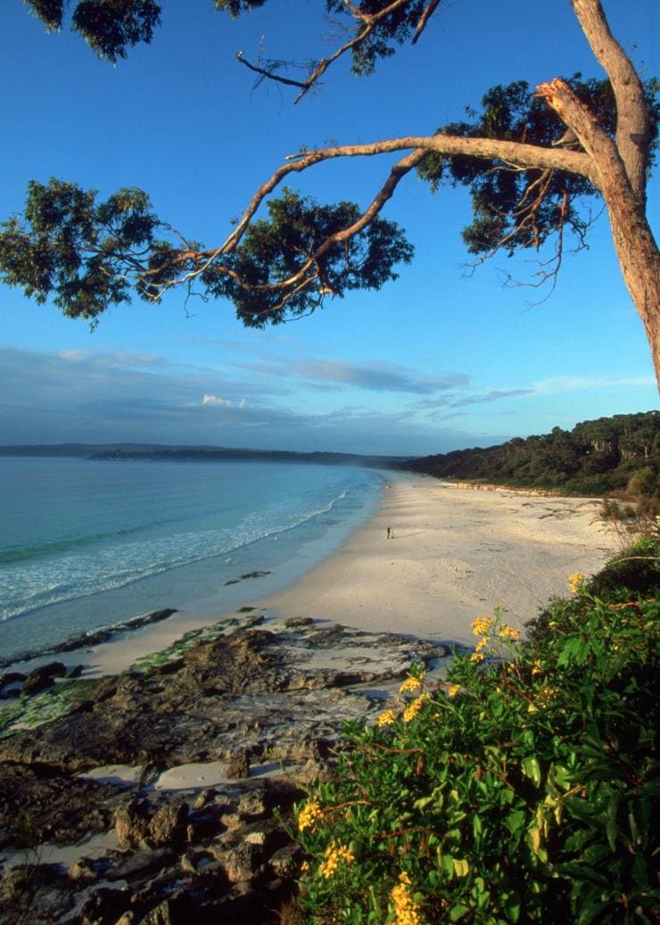 Paperbark Camp, Jervis Bay, NSW © Hutchings Camps