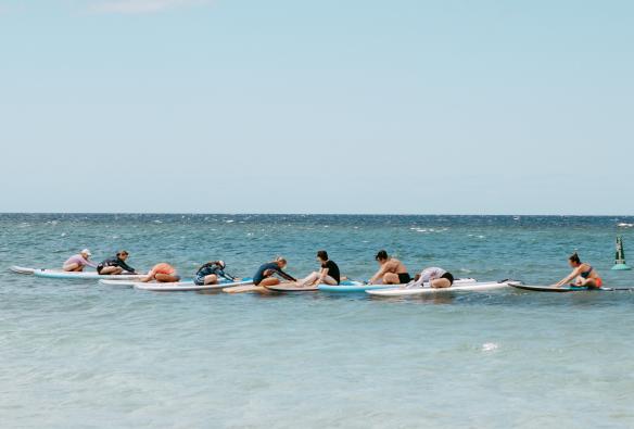 Yoga & Wellness Glamping Adventure, Vùng Margaret River, Tiểu bang Tây Úc © Australian Wildlife Adventures