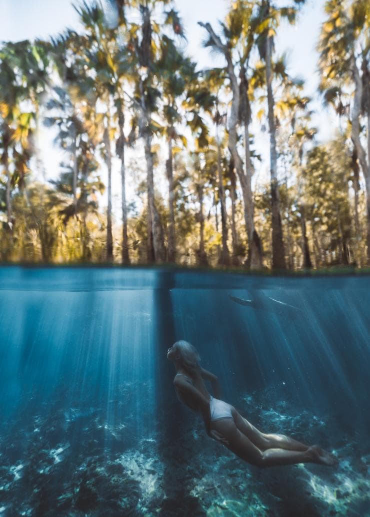 Bitter Springs, Elsey National Park, Katherine, NT © Tourism NT/Carmen Huter