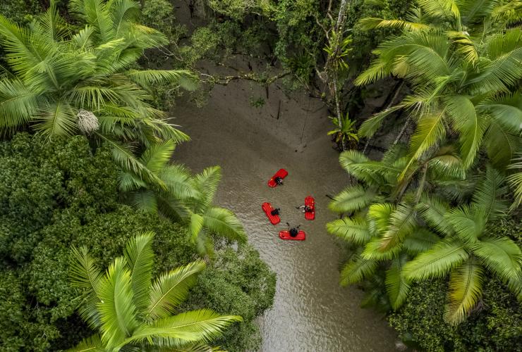 Aerial view over a group of four people sitting on inflatable red boards in a river surrounded by green trees with Back Country Bliss, Daintree Rainforest, Queensland © Tourism and Events Queensland