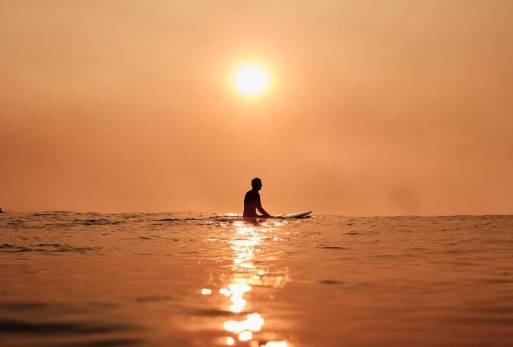 A surfer captured at sunrise, waiting for a wave at Bondi Beach, Sydney NSW © Tourism Australia