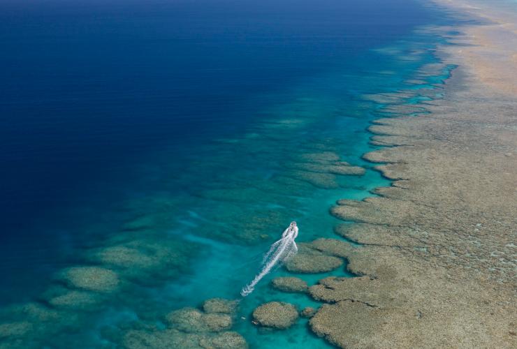 Snorkelling on the outer reef of a coral atoll is a totally different experience at Rowley Shoals, WA © True North