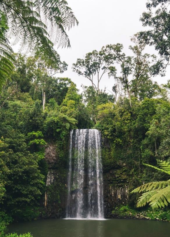 Millaa Millaa Falls, Millaa Millaa, QLD © Scott Pass
