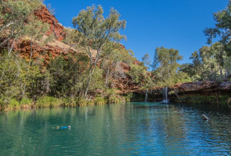 Jubura (Fern Pool), Karijini National Park, WA © Greg Snell