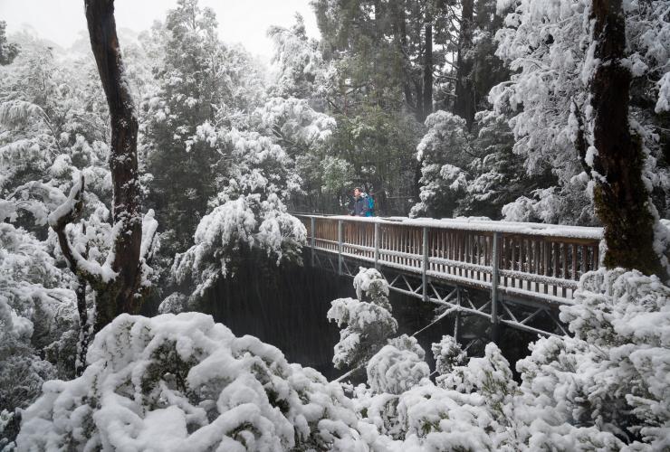 Enchanted Walk, Cradle Mountain, Tasmania © Paul Fleming