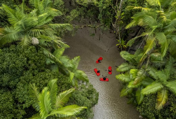 Aerial view over a group of four people sitting on inflatable red boards in a river surrounded by green trees with Back Country Bliss, Daintree Rainforest, Queensland© Tourism and Events Queensland