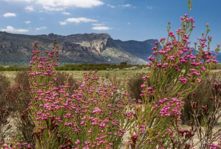 Grampians National Park, Victoria © Visit Victoria