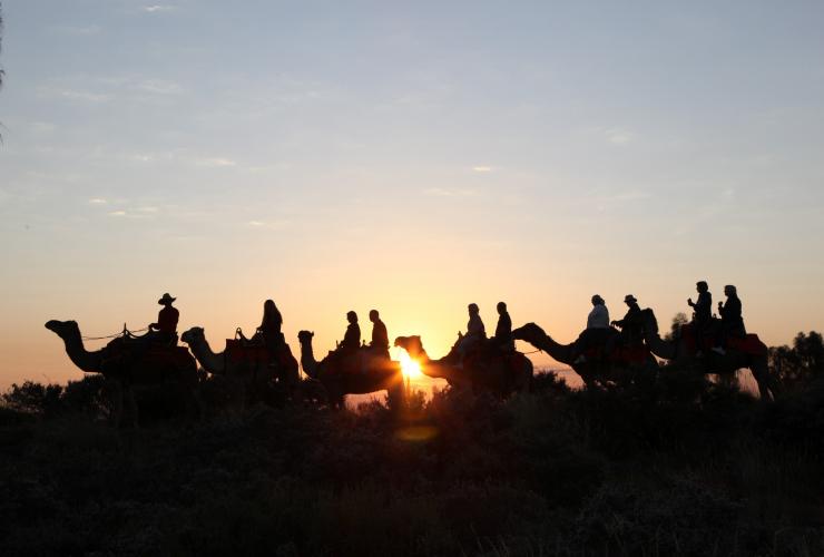 A dark outline of a group of people riding camels with the sunset glowing behind them with Uluru Camel Tours, Uluru-Kata Tjuta National Park, Northern Territory © Uluru Camel Tours