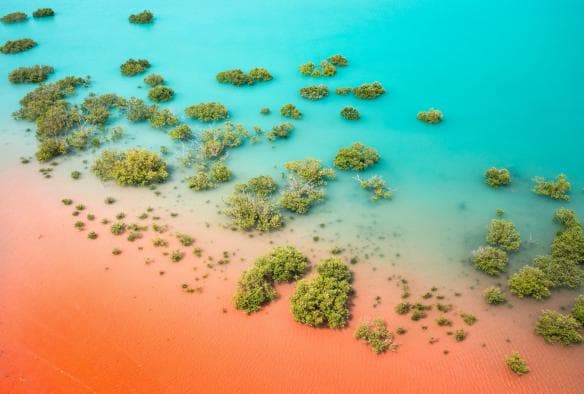 Aerial view of the bright blue Coral Sea against a red-sand beach at Roebuck Bay, Broome, Western Australia © Tourism Australia