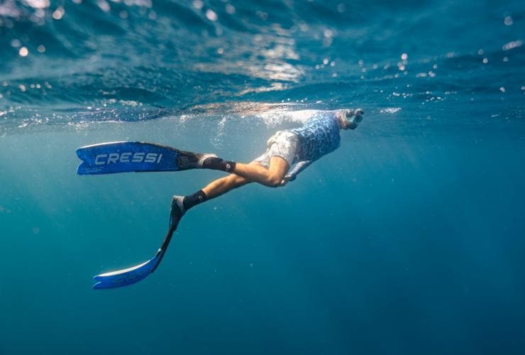 A woman snorkelling underwater on a tour with Live Ningaloo, Ningaloo Marine Park, Western Australia © Tourism Western Australia 