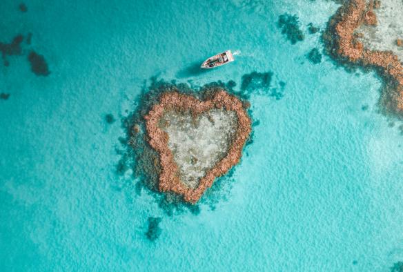 Aerial view of a boat drifting around a heart-shaped reef, Heart Reef, Whitsundays, Queensland © Saltywings 