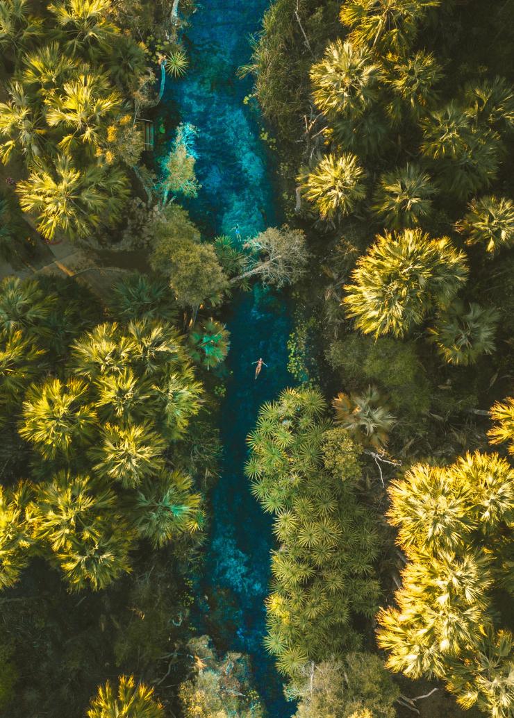 Aerial view of the thermal water and palm plants at Bitter Springs, Elsey National Park, Northern Territory © Tourism NT/Mitch Cox