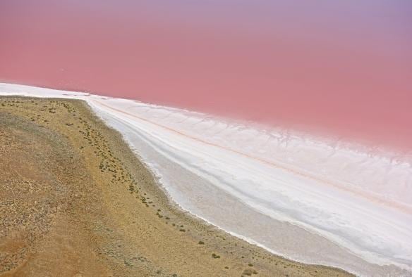 Ảnh chụp từ trên cao một vùng mép nước màu hồng cạnh bờ cát của Hồ Kati Thanda-Lake Eyre, Vùng hẻo lánh của Tiểu bang Nam Úc © Grant Hunt Photography