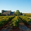 Sevenhill Cellars, Clare Valley, SA © Adam Bruzzone, South Australian Tourism Commission
