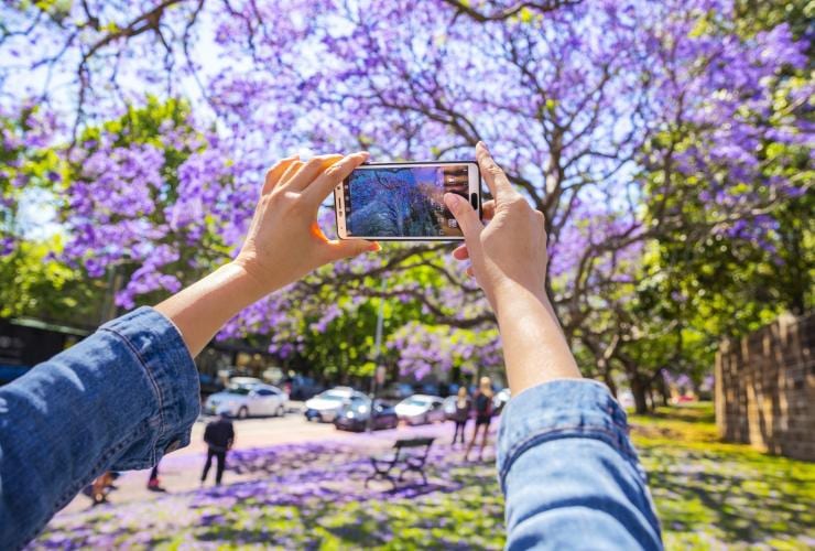 Paddington, Sydney, New South Wales © Destination NSW