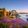 Phượng tím và Cảng Sydney lúc hoàng hôn, Sydney, NSW © Destination NSW