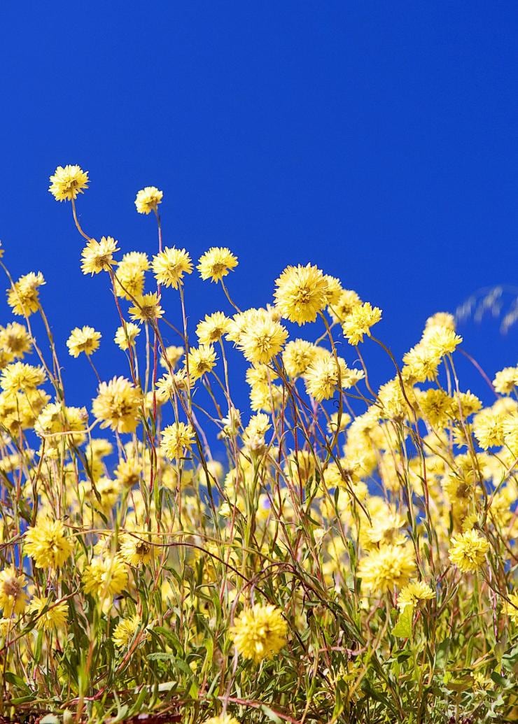 Southern Coral Coast, Western Australia © Australia’s Coral Coast