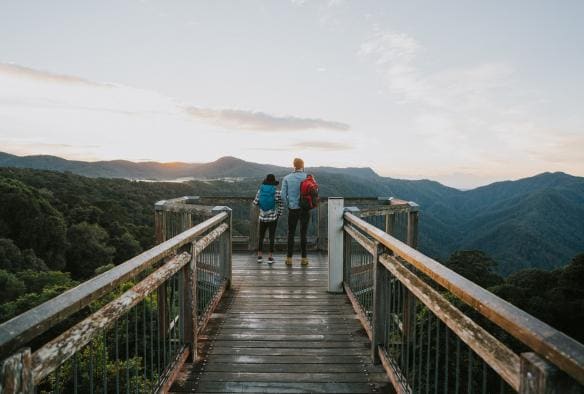 Hai người đứng ở rìa Dorrigo Skywalk nhìn ra không gian xanh tươi của Vườn quốc gia Dorrigo, Tiểu bang New South Wales © Branden Bodman