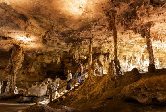 Một nhóm du khách đi xuống cầu thang giữa những khối đá trong Hang động Naracoorte, Thị trấn Naracoorte, Tiểu bang Nam Úc © Tourism Australia