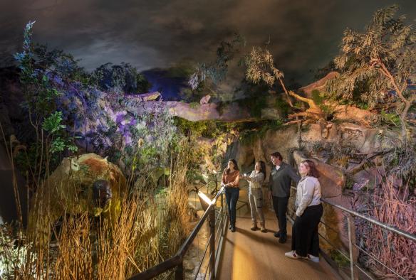 Một nhóm du khách đang khám phá lối vào Hang động Naracoorte vào ban đêm, Thị trấn Naracoorte, Tiểu bang Nam Úc © Tourism Australia