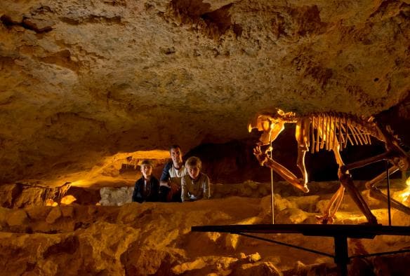 Một gia đình đang chiêm ngưỡng bộ xương động vật dưới lòng đất trong Hang động Naracoorte, Thị trấn Naracoorte, Tiểu bang Nam Úc © Adam Bruzzone