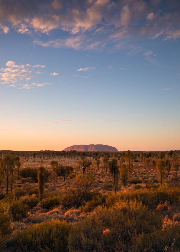 Những đồng cỏ ở phía trước dẫn đến khối đá nguyên khối đỏ Uluru trong hoàng hôn, Vườn quốc gia Uluru-Kata Tjuta, Lãnh thổ phía Bắc © Tourism Australia