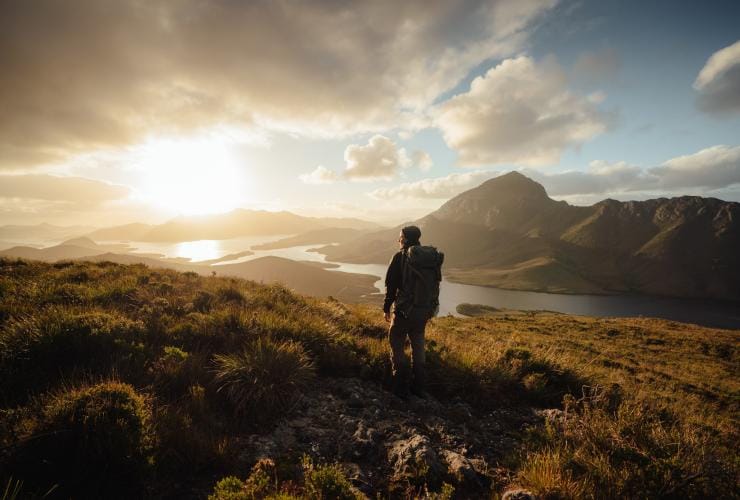Man standing among greenery looking out over Bathurst Harbour and the surrounding greenery at sunset, Southwest National Park, Tasmania © Jason Charles Hill 