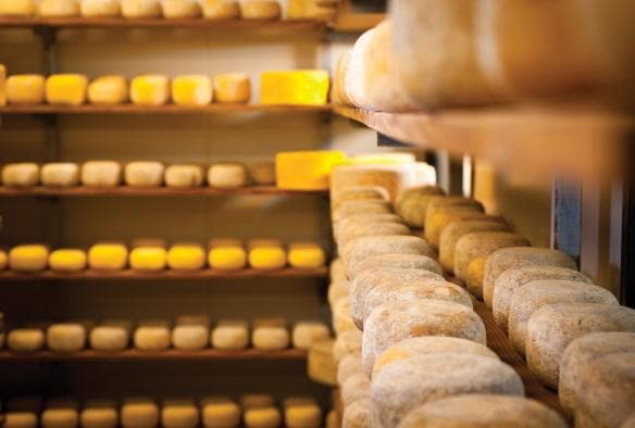 Shelves filled with wheels of cheese at Bruny Island Cheese Co., Tasmania © Tourism Tasmania